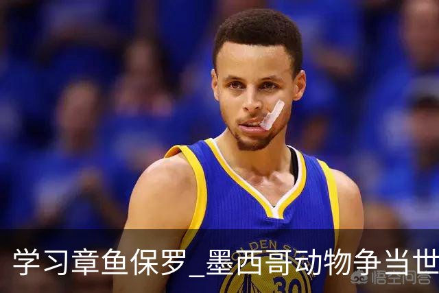 学习章鱼保罗 墨西哥动物争当世界杯预言家